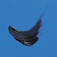 thumbnail image 2 of Babe Original Enriching Mascara Mini, Black, 2 of 8