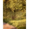thumbnail image 2 of Kimberly, Allen 15x18 Gold Ornate Wood Framed with Double Matting Museum Art Print Titled - Sunlit Path 2, 2 of 4
