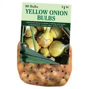 Dutch Valley Yellow Onion Bulbs, 80-Count/25