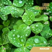 Maxler Liquid Chlorophyll - Natural Flavor 15.2 fl oz (15 Servings)