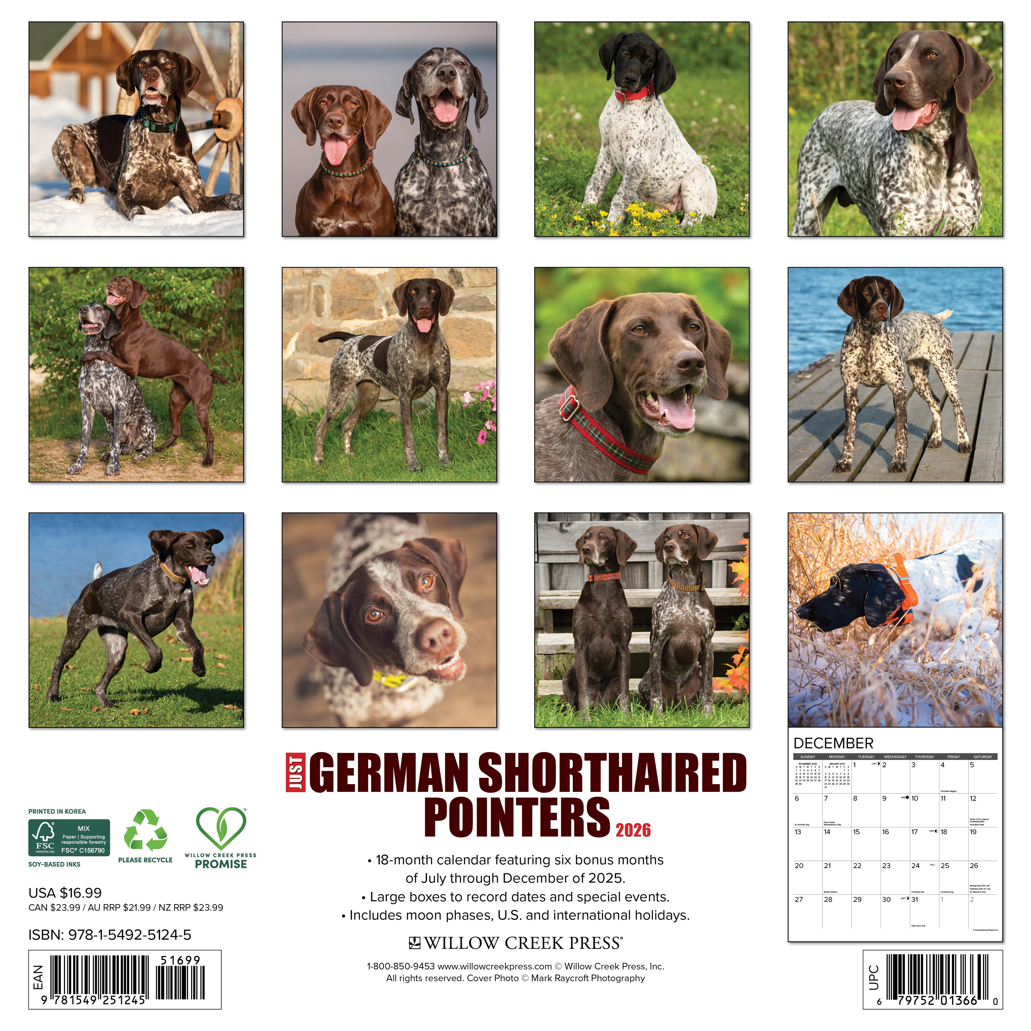 German Shorthair Pointers 2026 Wall Calendar, (Paperback)