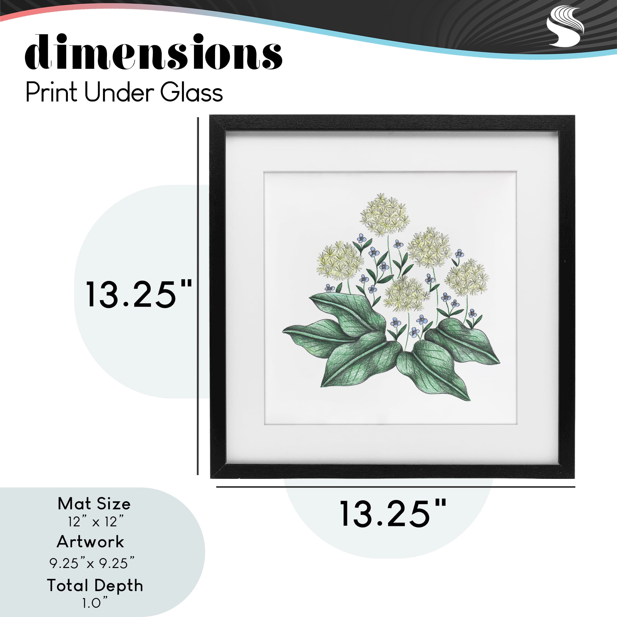 Hello Wildflower Vintage Sketch Black Framed Print Under Glass, design by Cecilia Battaini