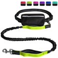 thumbnail image 1 of Pet Leash-Running Leash Set-Reflective Night Running Pet Sports Waist Bag-green, 1 of 5