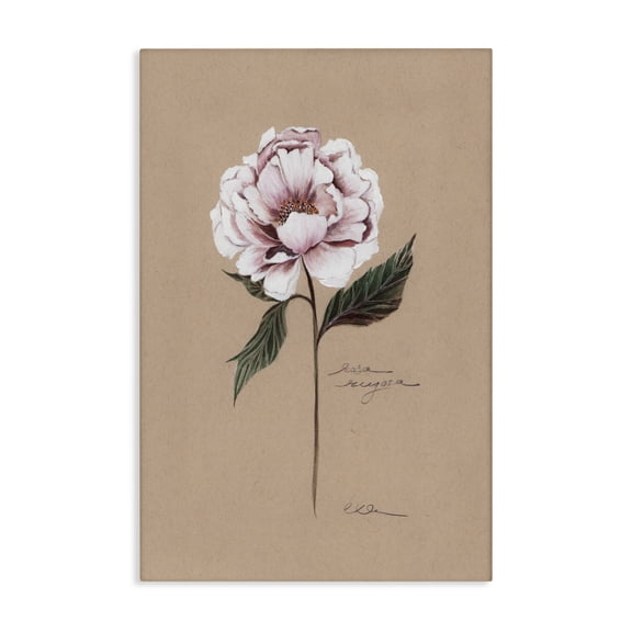 Vintage Flower Rounded Petals Canvas Art, 16 x 24, Made In USA