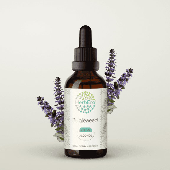 HerbEra Bugleweed Tincture, Herbal Dietary Supplement for Hormonal Balance Support, Bugleweed (Lycopus virginicus) Dried Herb Extract, Natural, Alcohol Tincture, Drops 2 oz
