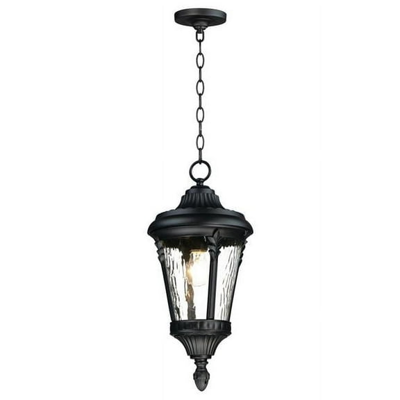 9 in. Sentry 1 Light Black Outdoor Hanging Lantern