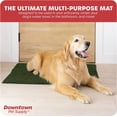 thumbnail image 4 of GFDYREE - Ultra Absorbent Microfiber Dog Door Mat, Durable, Quick Drying, Washable, Prevent Mud Dirt, Keep Your House Clean (Chive, Large) - 36 x 26 Inch, 4 of 7