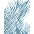 thumbnail image 3 of Miller, Melonie 19x24 Black Modern Framed Museum Art Print Titled - Palm Shadows Aqua I, 3 of 5