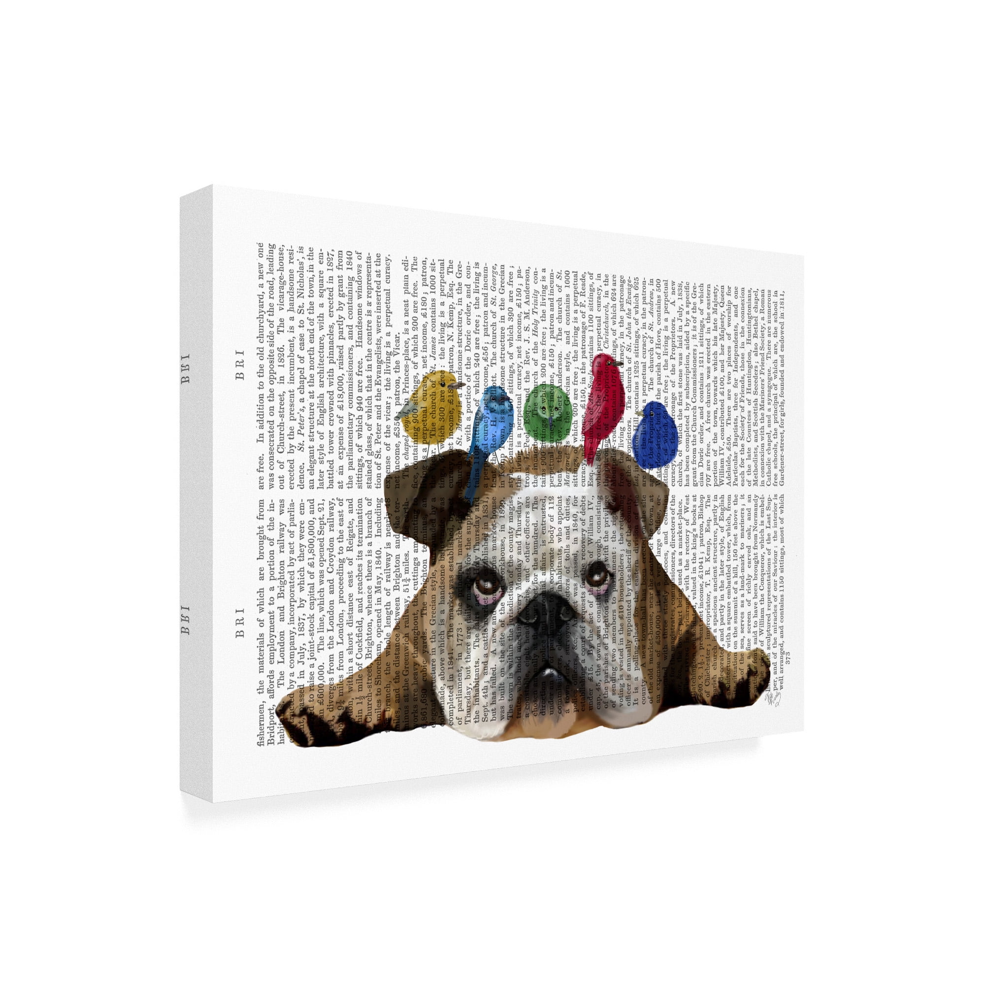 Trademark Fine Art 'English Bulldog and Birds' Canvas Art by Fab Funky