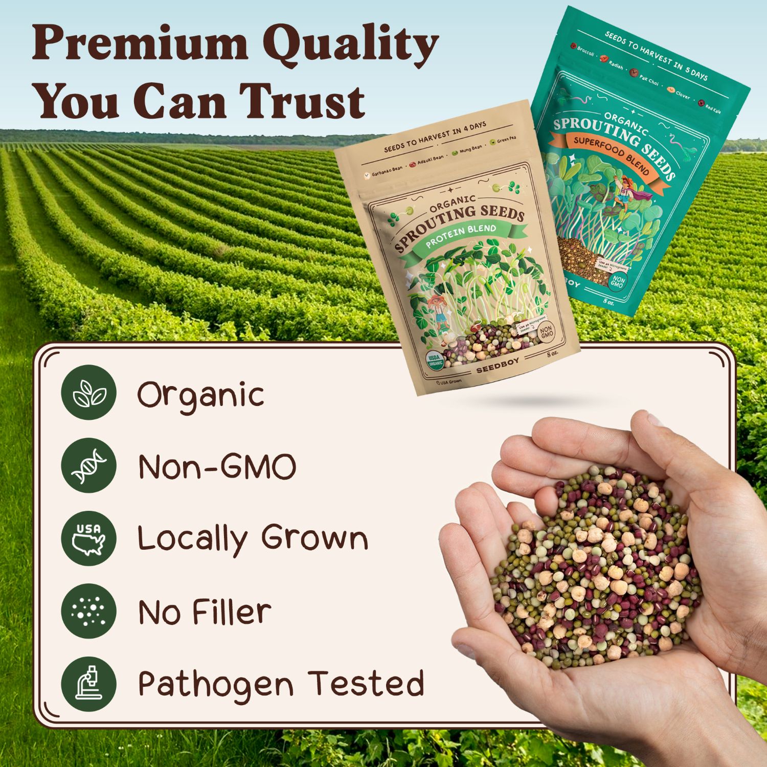 Seedboy Organic Non-GMO Sprouting Seeds Variety Pack, Superfood & Protein Blends - USA Grown - 8 oz Bags