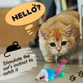 thumbnail image 2 of Juguetes para gatos Famgee, 20 piezas, ratoncitos peludos con cola de plumas, 2 of 6