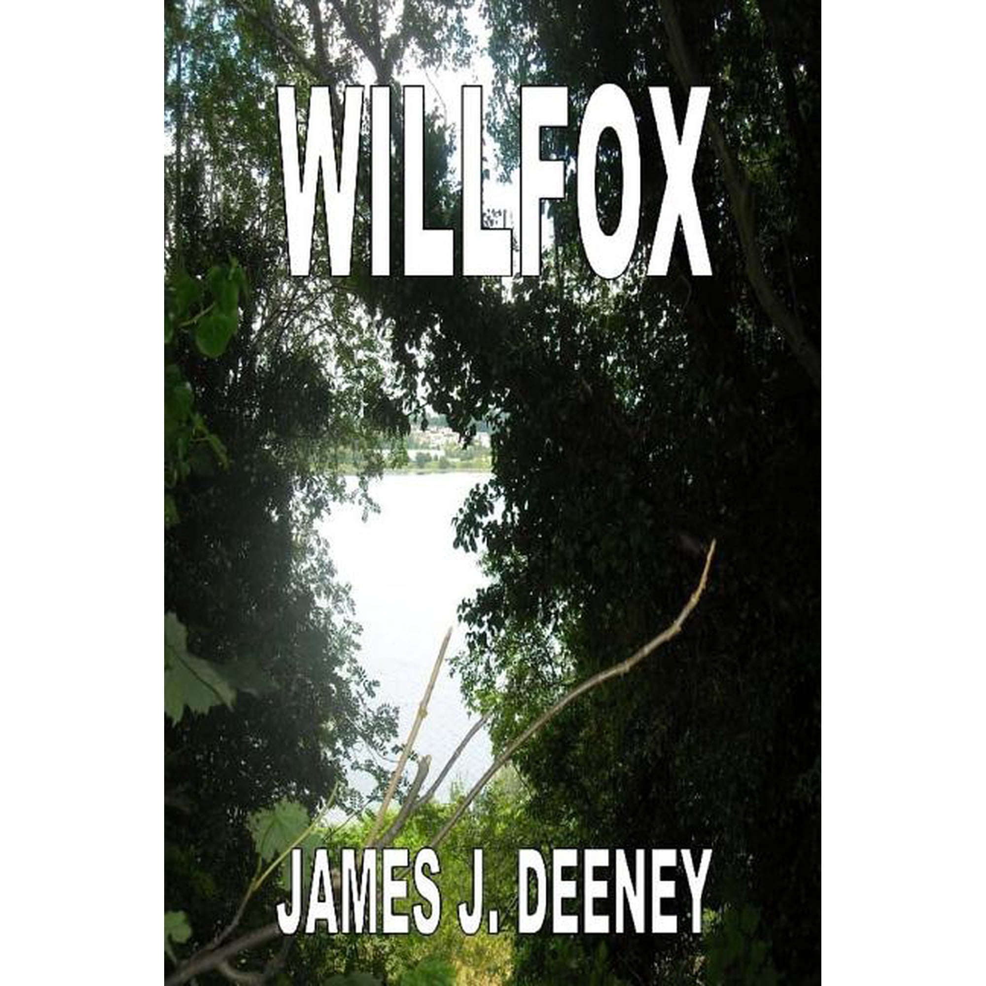Willfox (Paperback)
