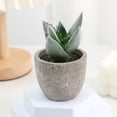 thumbnail image 3 of Small Fake Plants Realistic Lifelike Artificial Potted Succulents, Mini Durable Plastic 2.7x2.6x2.6 in with Pot Faux Plants for Home Office, Kitchen, and Indoor Table Decor, 3 of 6