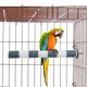thumbnail image 5 of Jaula para loros jinwen percha de pájaro 1 Verde 2x20cm, 5 of 8