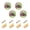 Colorful Turtle, variant on JIALIOU Kitchen Cabinet Knobs Round Zinc Drawer Pulls, Prehistoric Jungle Dinosaurs Volcano, 4 Pack
