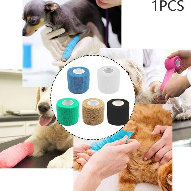 Teddy Dog Vet Wound Elastic Cohesive Bandage Self Adherent Supply Wrap Tape Z3H3