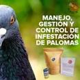 thumbnail image 3 of Veneno Para Palomas Rapidísimo 1kg, 3 of 8
