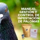 thumbnail image 3 of Veneno Ya Preparado Plaga De Aves Y Palomas Eficaz 1kg, 3 of 8