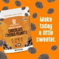 thumbnail image 6 of (Pack of 8) Lakanto Chocolate Covered Peanuts, 4 oz, 6 of 8