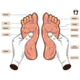 thumbnail image 5 of Reflexology Socks with Acupressure Map and Massage Tools for Foot Pain Relief and Relaxation, 5 of 8