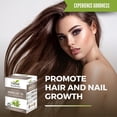 thumbnail image 6 of Bamboo Leaf Tea - Caffein-Free Herbal Tea, 72 Teabags(3 Packs), Hair, Skin, Anti Aging for Men & Women, Silica - Herbal Goodness, 6 of 8