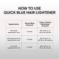 thumbnail image 4 of Decolorante en polvo L'Oréal Technique Quick Blue 450 g, 4 of 5