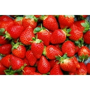 CZ Grain100 Delicious Red Strawberry Plant Seeds, Long Blooming Easy to Grow