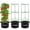15 gallons, variant on Sturdy Triangle Tomato Cage with Movable 10 Gal Grow Bags - 3 Sets 47'' Plants Garden Trellis Planters, Support for Indoor Outdoor Beans, Peppers, Eggplants, Climbing Vegetables