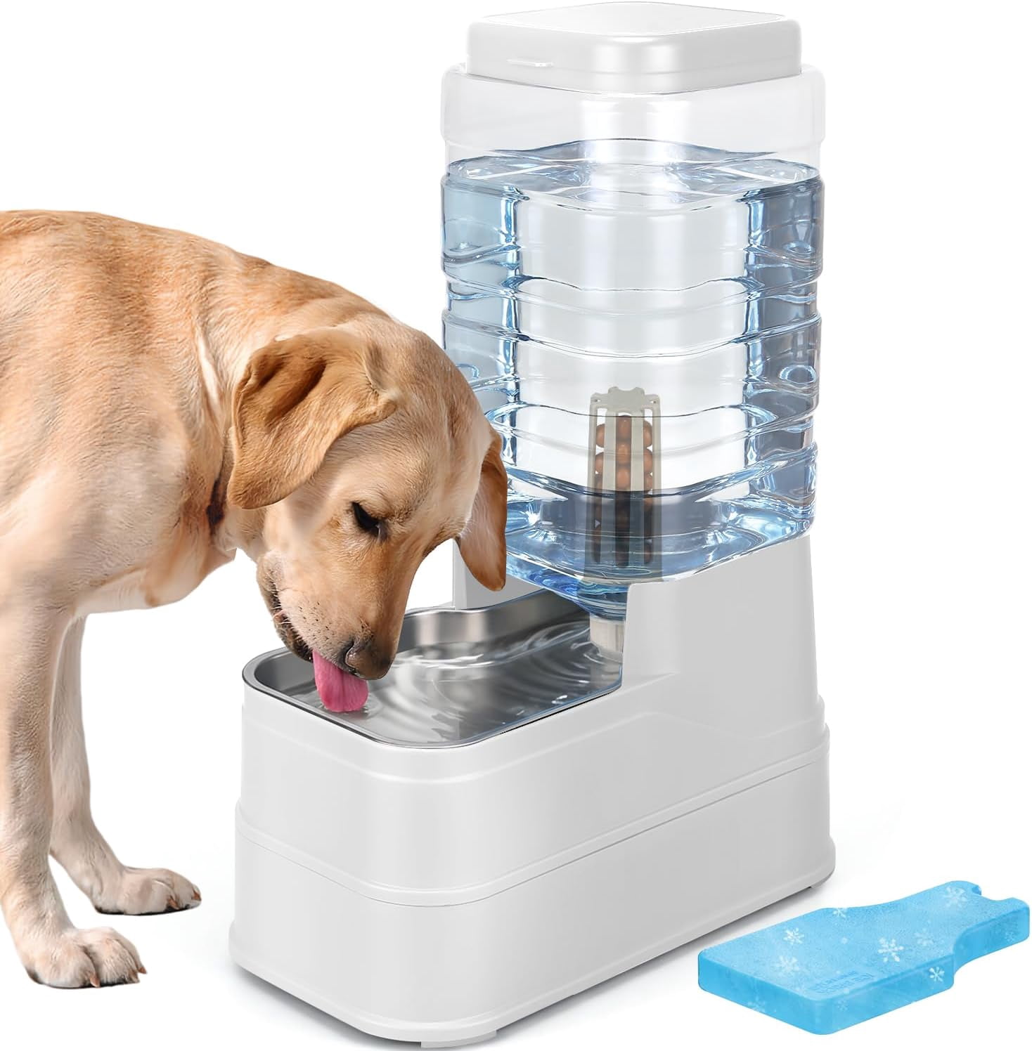 1.6 Gallon Pet Automatic Dog Water Dispenser Cat Gravity Waterer Feeder with Stainless Steel Bowl Large Capacity Puppy Feeding Raised Bowls with Filter,Ice Pack