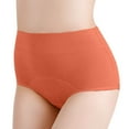 thumbnail image 6 of Rciityk Womens Menstrual Period Underwear High Waisted Panties Menstrual Leak Proof Heavy Panties Ladies Comfort Breathable Panties 2PCS - Spring/Summer Savings Clearance, 6 of 7