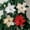 A1242, variante sur Fleurs de Noël à Moins de 5 $! Yannianjz Fleurs de Noël Scintillantes, Ornements d'Arbre à Paillettes, Fleurs Artificielles Festives, Décorations des Fêtes, Articles pour Fête de Noël, Déco Maison Saisonnière