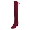 thumbnail image 2 of TIREOW Women's Over The Knee Suede Boots Sexy Pointed Toe Solid Color Thigh High Chunky High Heel Boot Pull On Stretchy Long Boots Zipper Lace Up Long Boots, 2 of 4