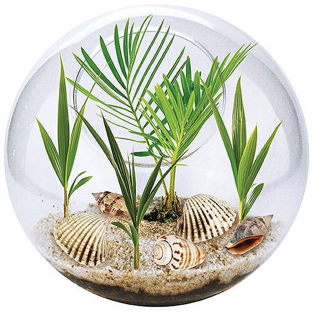 Beach In The Bowl Terrarium Kit