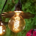 thumbnail image 6 of Wintergreen Lighting G95 FlexFilament LED Edison Bulb, 5W Vintage LED Globe Light Bulb, Antiqued Finish, 6 of 6