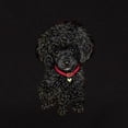 thumbnail image 3 of CafePress - Poodle Pup (Blk) Women's Light T Shirt - Women's Traditional Fit Dark T-Shirt, 3 of 4