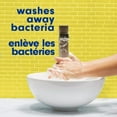 thumbnail image 4 of Softsoap Limited Edition Liquid Hand Soap, Meyer Lemon, 7.5 Fluid Ounce Bottle, 221 ml, 4 of 5