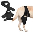 thumbnail image 3 of Pebbuoy Pet Recovery Belt Dog Leg Brace Protective Dog Knee Hip Brace Easy to Install Supportive Dog Leg Wrap Pet Supplies, 3 of 7