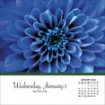 Turner Licensing, Flowers 2025 Desk Calendar