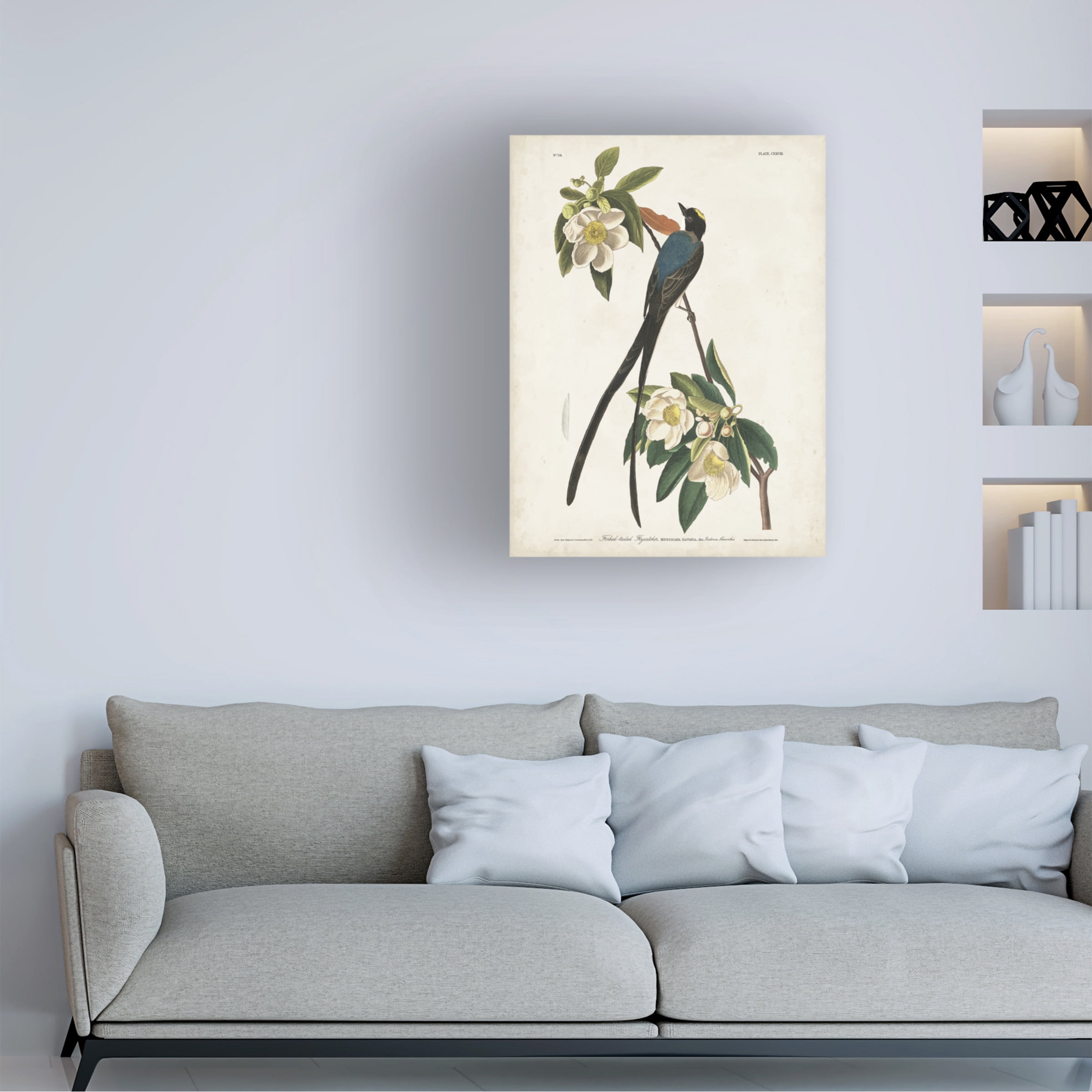 John James Audubon 'Fork Tailed Flycatcher' Canvas Art