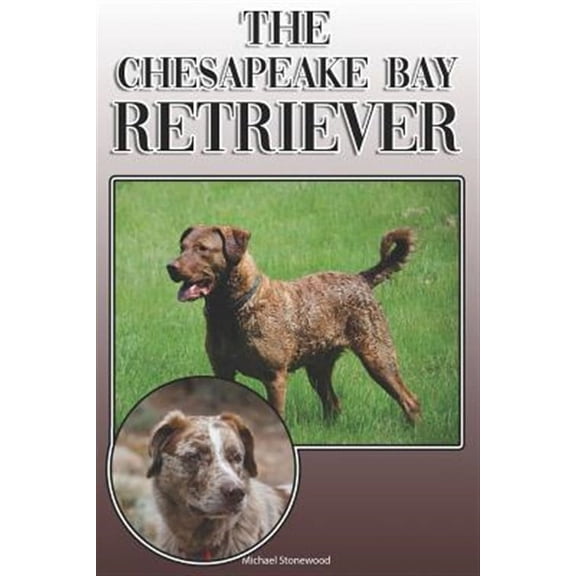 The Chesapeake Bay Retriever: A Complete and Comprehensive Owners Guide To: Buying, Owning, Health, Grooming, Training, Obedience, Understanding and