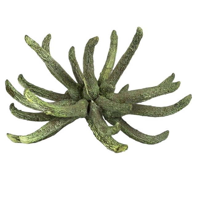 Vickerman H1SCL150 3-4 in. Frosted Green Spider Claws - 16-20 Piece