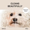 thumbnail image 3 of Limpiador facial Eye Envy Tear Stain para perros y gatos, 100 ml, 3 of 8