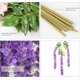 thumbnail image 4 of 24 Piezas Artificiales Flores Wisteria, Guirnalda De Flores Artificiales Decoracion Blancas para Pared, Boda, Jardín, Fiesta, Hogar, Exterior Decorar Arco, 4 of 4
