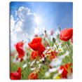 thumbnail image 2 of Coquelicots Rouges sur Fond Ciel - Impression sur Toile Florale, 2 of 3