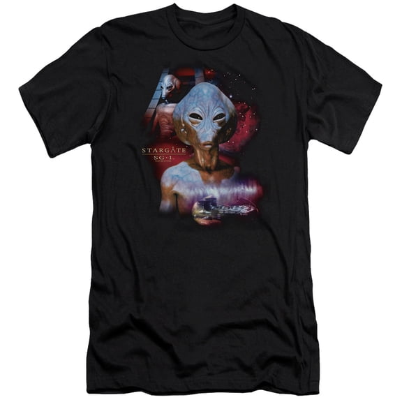 Sg1 The Asgard Premium Adult Slim Fit 30/1 T-Shirt Black