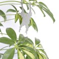 thumbnail image 4 of Clearance! Decorative Plant Animal Sets Decorative Plant Animal Sets Metal Crafts, 4 of 5
