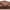 COFFEE, variant on Luxury 500 Thread Count 100% Cotton Sateen Bed Sheet Set Dobby Stripe