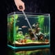thumbnail image 3 of 50 cm plástico pinzas acuario tanque acuático planta pinzas pinzas herramientas para peces tanque plantas, 3 of 6
