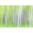 thumbnail image 2 of Mahan, Kathy 14x11 White Modern Wood Framed Museum Art Print Titled - Aspen Blur I, 2 of 4