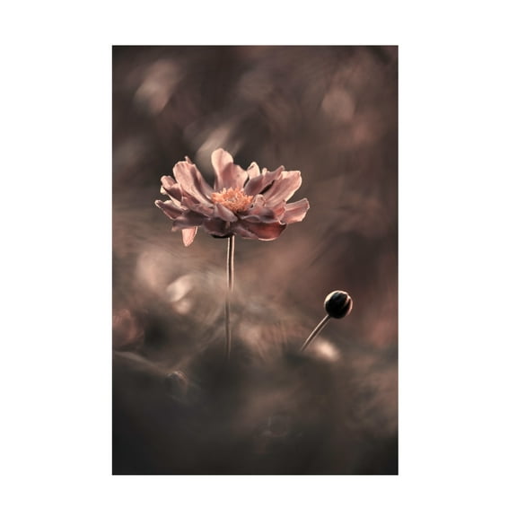 Canvas Wall Art - Fabien Bravin 'Un Pracsent Et Un Futur Racvolus Un Passac Pracsent' Wall Art for Living Room, Bedroom, or Office Décor by Trademark Fine Art - 16 x 24 Inches